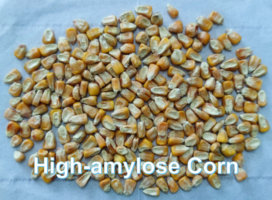 PÉKING YIGLEE TECH Amidon résistant à l'amidon Amylose élevée Amidon amidon Soluble fibre alimentaire