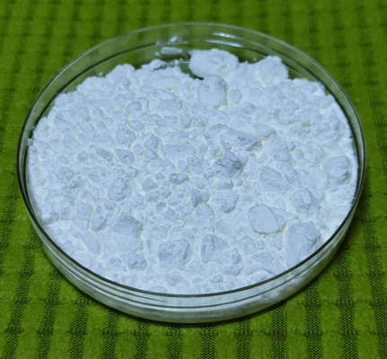 Amidon de maïs à haute amylose de qualité alimentaire Prébiotiques résistants Amidon à faible IG