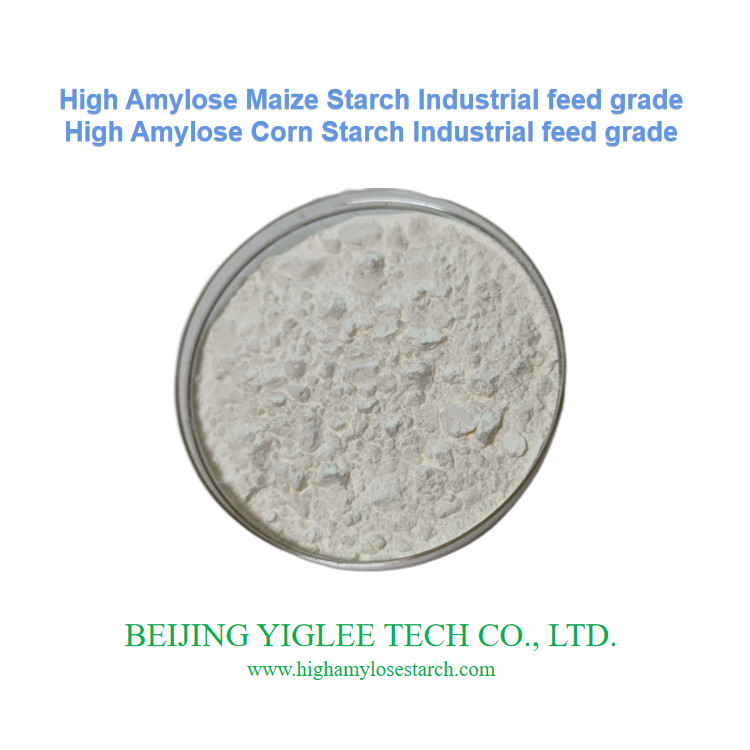 Beijing YIGLEE TECH Amidon de maïs à haute amylose non OGM Amidon de maïs à haute amylose pour amidon modifié
